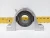 New Rexnord Pillow Block Bearing 1-1/2" Bore NC251-12