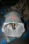 RELIANCE DODGE 25:1 GEAR SPEED REDUCER M51A0627M-XM 5.41 MAX HP W/ UNIBRAKE