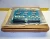 NEW GE FANUC SERIES SIX REED RELAY OUTPUT MODULE CIRCUIT BOARD IC600YB914B