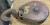 P&H HARNISCHFEGER CRANE / HOIST SINGLE SHEAVE SWIVEL HOOK AND LOAD BLOCK