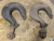 LOT OF 2) CROSBY 319N CRANE / HOIST SWIVEL HOOK 319N