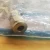 6) NEW SWAGELOK BRASS TUBE FITTING REDUCER 6mm x 1/4" TUBE B-6M0-R-4 LOT OF 6