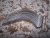 (6) NEW 4" STAINLESS STEEL RGD SS304 RIGID PIPE CLAMP FITS IMC,GRC,SCH 40