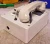 GAI-Tronics Indoor Intrinsically Safe Telephone NEMA 12 Model 262