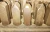 Matthews Safe Hed A-Z Complete Set 1/4" Letter Punch Set With Holder