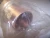 NEW 20" LONG COPPER BRAIDED FLEXIBLE HOSE 2-1/4" OD 2" ID