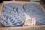 NEW KVP SYSTEMS 7F20SGP0080P0 TABLETOP CHAIN 2" PITCH 8" WIDE 2 X 10' LONG 20'