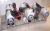 NEW SCHRADER 1/2" NPT PORT 3 VALVE SOLENOID VALVE 31500-8220 WITH MANIFOLD 220V