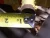 NEW STEEL BUTTERFLY VALVE 29-1/2" ID X 35" OD X 6" WIDE