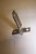 NEW TELEMECANIQUE HEATER ELEMENT G30T23