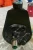 REMAN A-1 CARDONE BY ARI POWER STEERING PUMP CAST IRON MODEL 6034