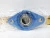 New SKF 2 Bolt Flanged Bearing 1" Bore F2BC100-TPZM (#2)