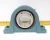 New Dodge 2 Bolt Pillow Block Bearing 2-15/16" Bore P2B-SCM-215 Dodge P/N 126821