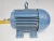 New Weg 3 Hp AC Electric Motor 208-230 / 460 VAC 1740 RPM W182/4T 00318EP3E182T