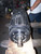 NEW AEG MODICON BRUSHLESS SERVO MOTOR 8 POLE 4-1/2"X1-3/4 120-147-005   CGX47-T