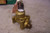 NEW SQUARE D 9890 KEY INTERLOCK 5/8" DIA TYPE SF