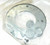 NEW THOMAS & BETTS VAPOR-PROOF SURFACE MOUNT FIXTURE 100 WATT MAX BVCG-100