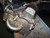 LINDEN WELDING STAINLESS STEEL BASKET FILTER TANK 150 PSI  