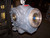 NEW FALK ULTRAMITE 153:1 RATIO GEAR REDUCER 1750 RPM 08UWB02AB160A1B