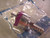 NEW SWAGELOK 3/8" STAINLESS STEEL SS-QC6-S-6HCK7 QUICK CONNECT D9HDT0475S