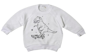 Crewneck Sweater (Dino Skater Print)