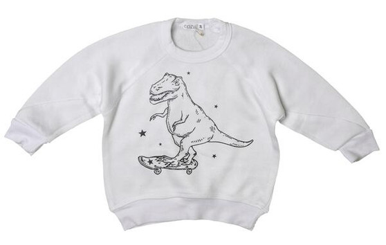 Crewneck Sweater (Dino Skater Print)