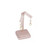 Earring stand (2.25x2.25x4.25"H) (ED-723-S50)