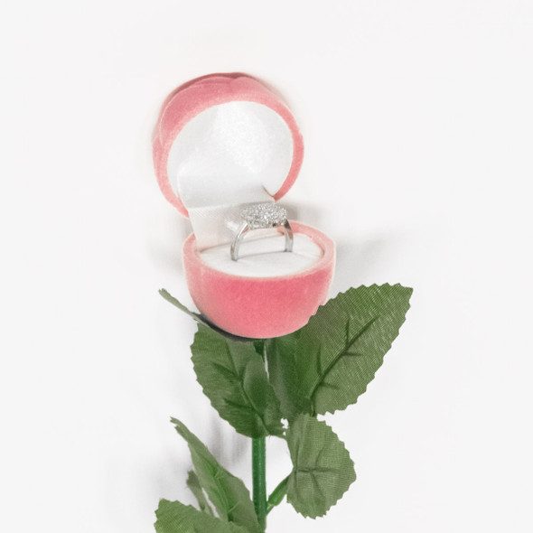 Rose Ring Box with Stem and Leaves Available in Red and Pink ~ Sold 12 Pieces per Pack