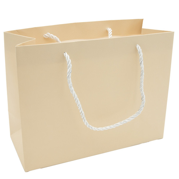Paper Tote Gift Bag Cream Color with Rope Handles - BUY 100pcs and SAVE! - Price for 100pcs