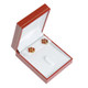 Cartier Style Earring/Pendant Box (LC6F-Color) Choose from various Colors