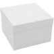 Glossy Kona Wood Watch Box with Beige Velvet Pillow - WW8-64