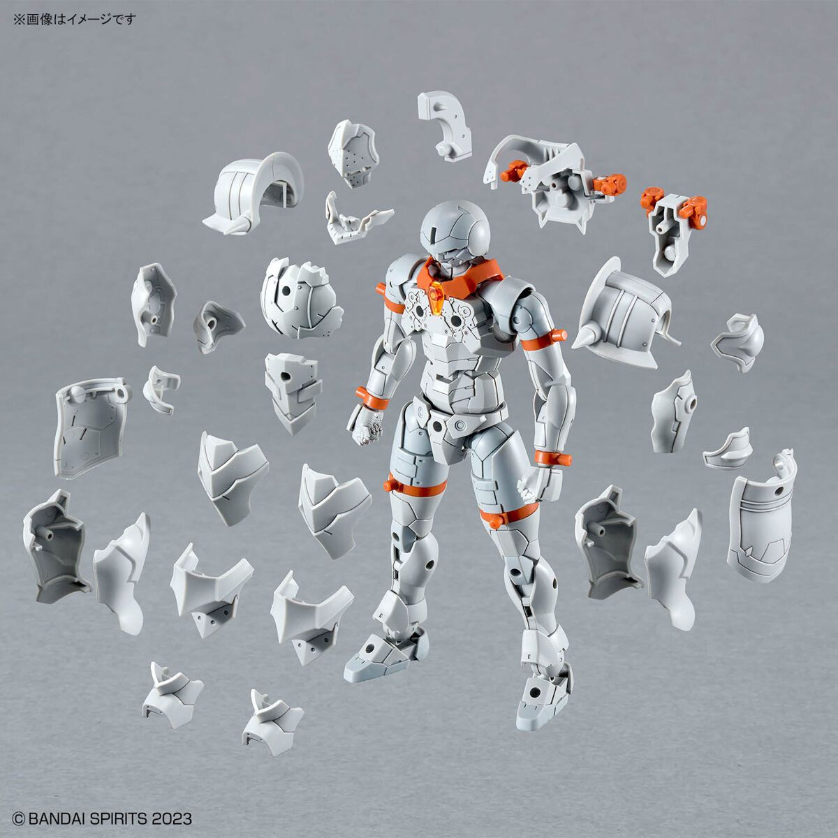 30MF Liber Warrior - King Kong Hobbies