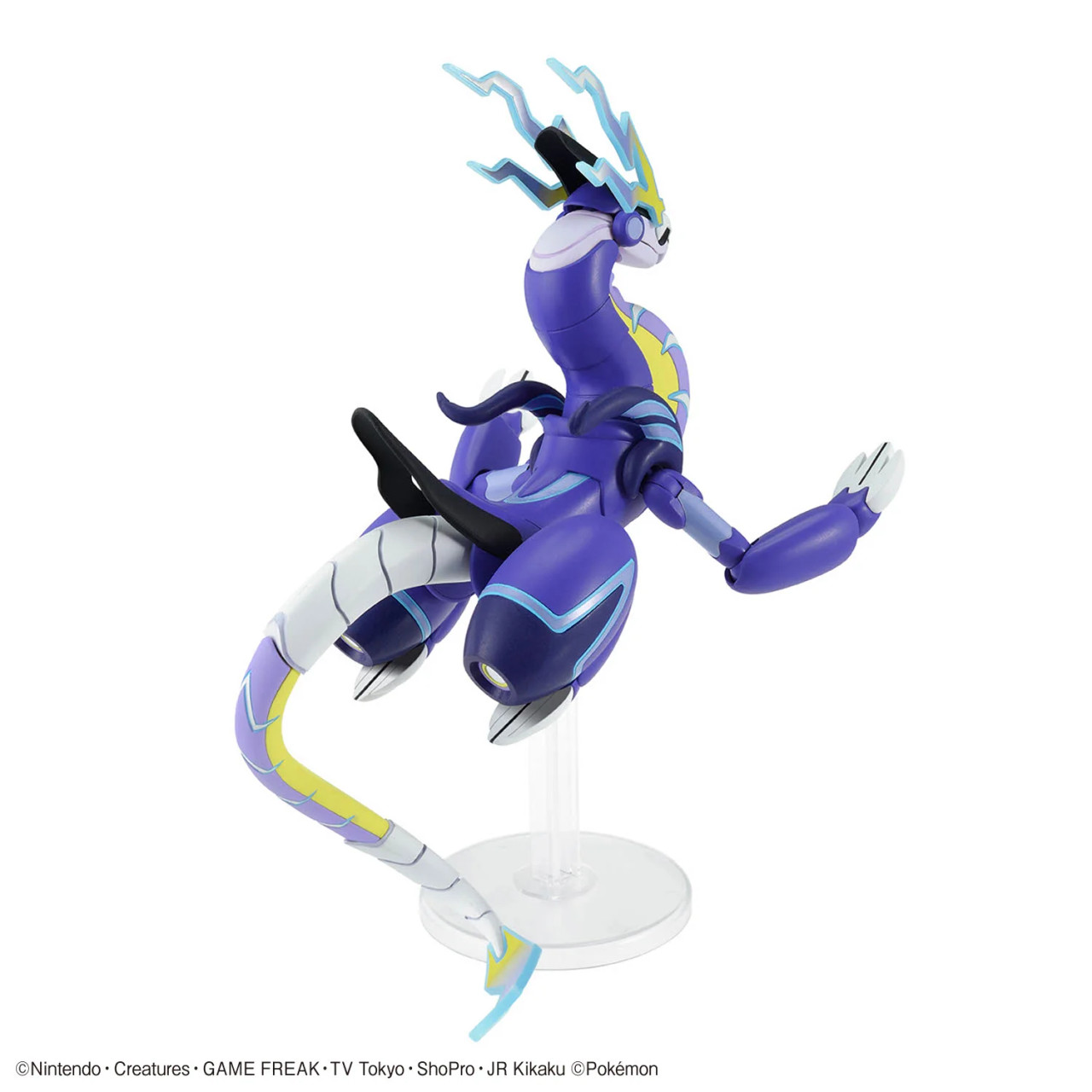 Miraidon Pokemon - King Kong Hobbies