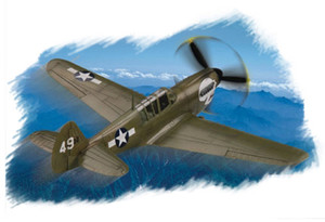 P-40N Warhawk P-40N Warhawk