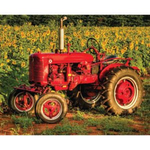 American Made Jigsaw Puzzle: 1000pc American Made Jigsaw Puzzle: 1000pc