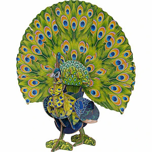 Voices of Nature: GREEN PEACOCK