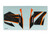 TXC-4M Body Decals: BLACK