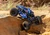 TXC-4M Extreme Crawler: BLUE