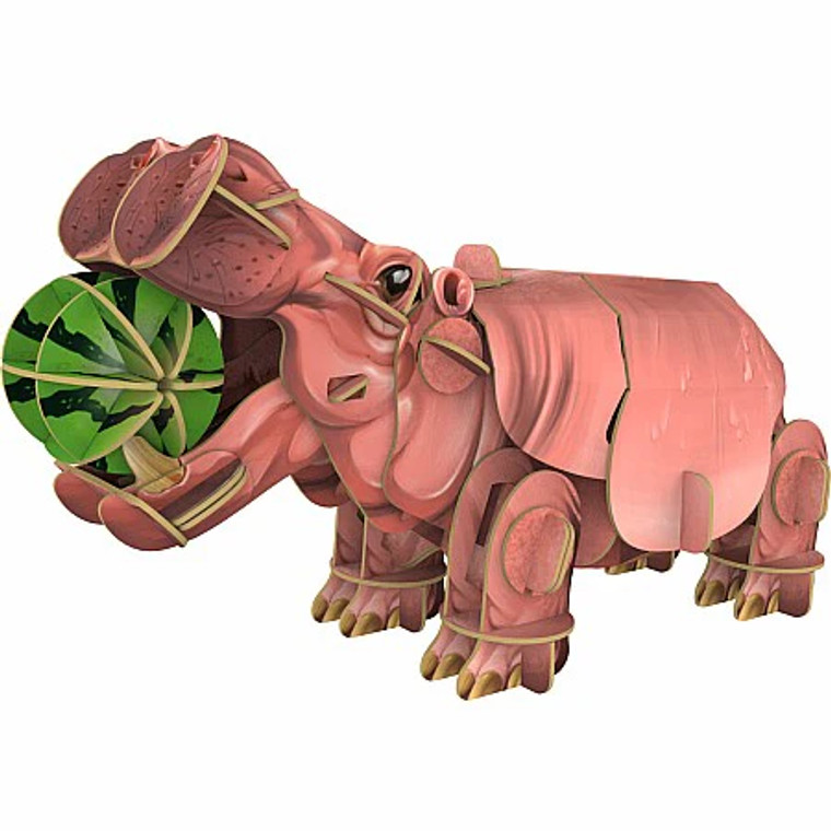 Voices of Nature: HIPPO
