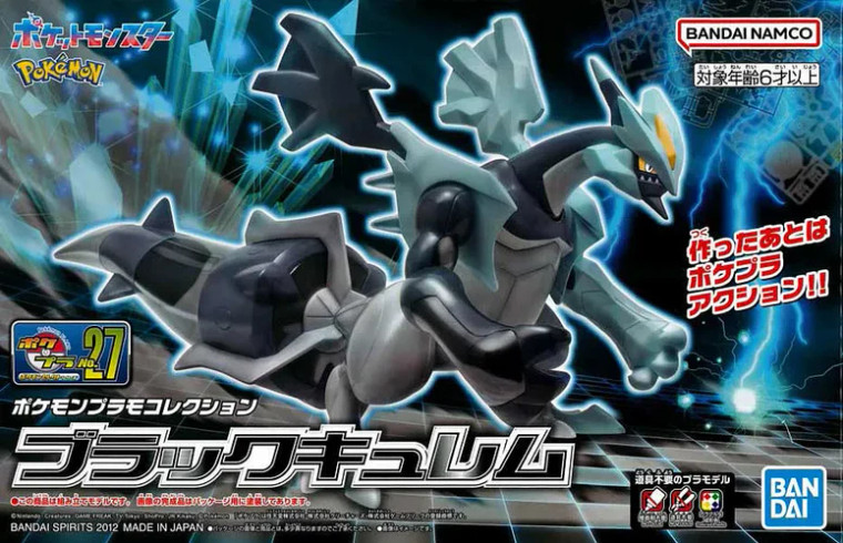 Black Kyurem Pokemon