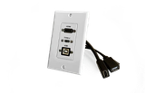 USB Wall Plates