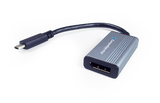 USB to DisplayPort Adapters