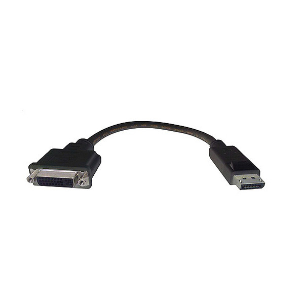 DisplayPort Male To DVI Female Dongle Adapter