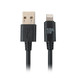 Front of 10ft MFi Certified Lightning to USB-A Cable