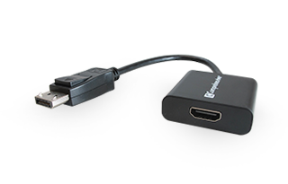 DisplayPort Adapters