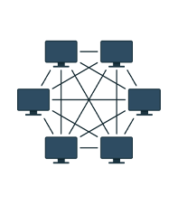 Mesh Topology