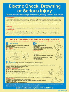 Everlux 300x400 Electric shock... injury-ISM | IMPA 331509