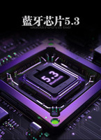  STUMPE x Evangelion EVA-01 Wireless Bluetooth Earbuds 