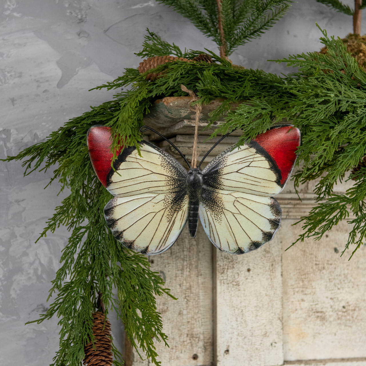 10" CREAM & RED MOTH