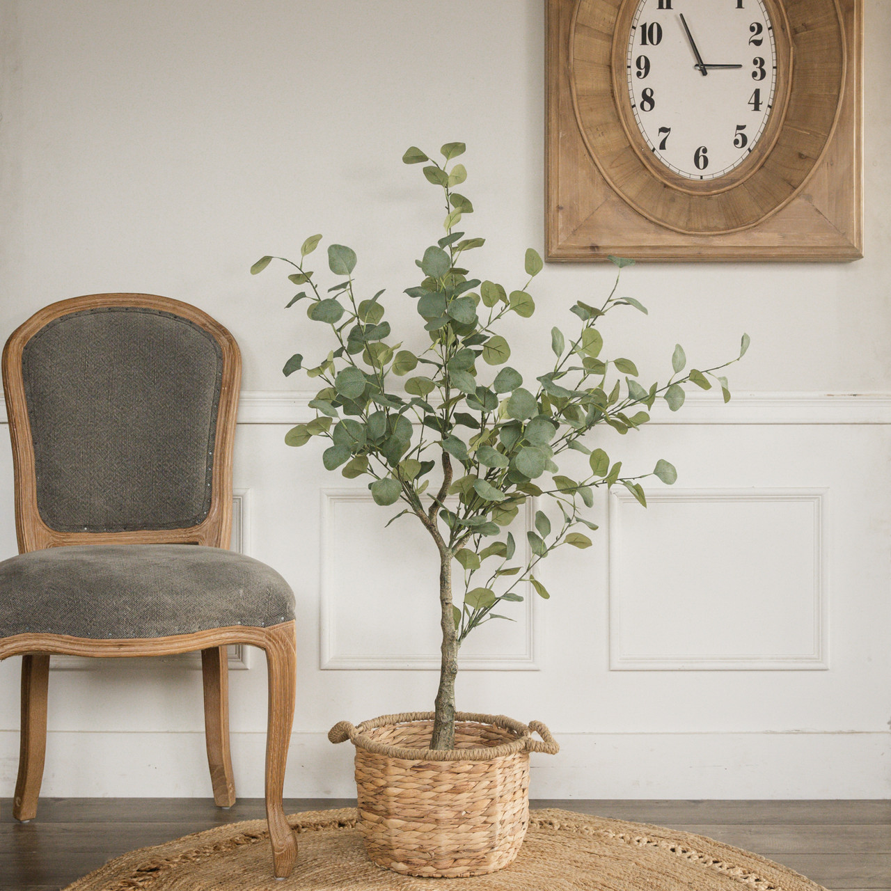 4.25' EUCALYPTUS TREE